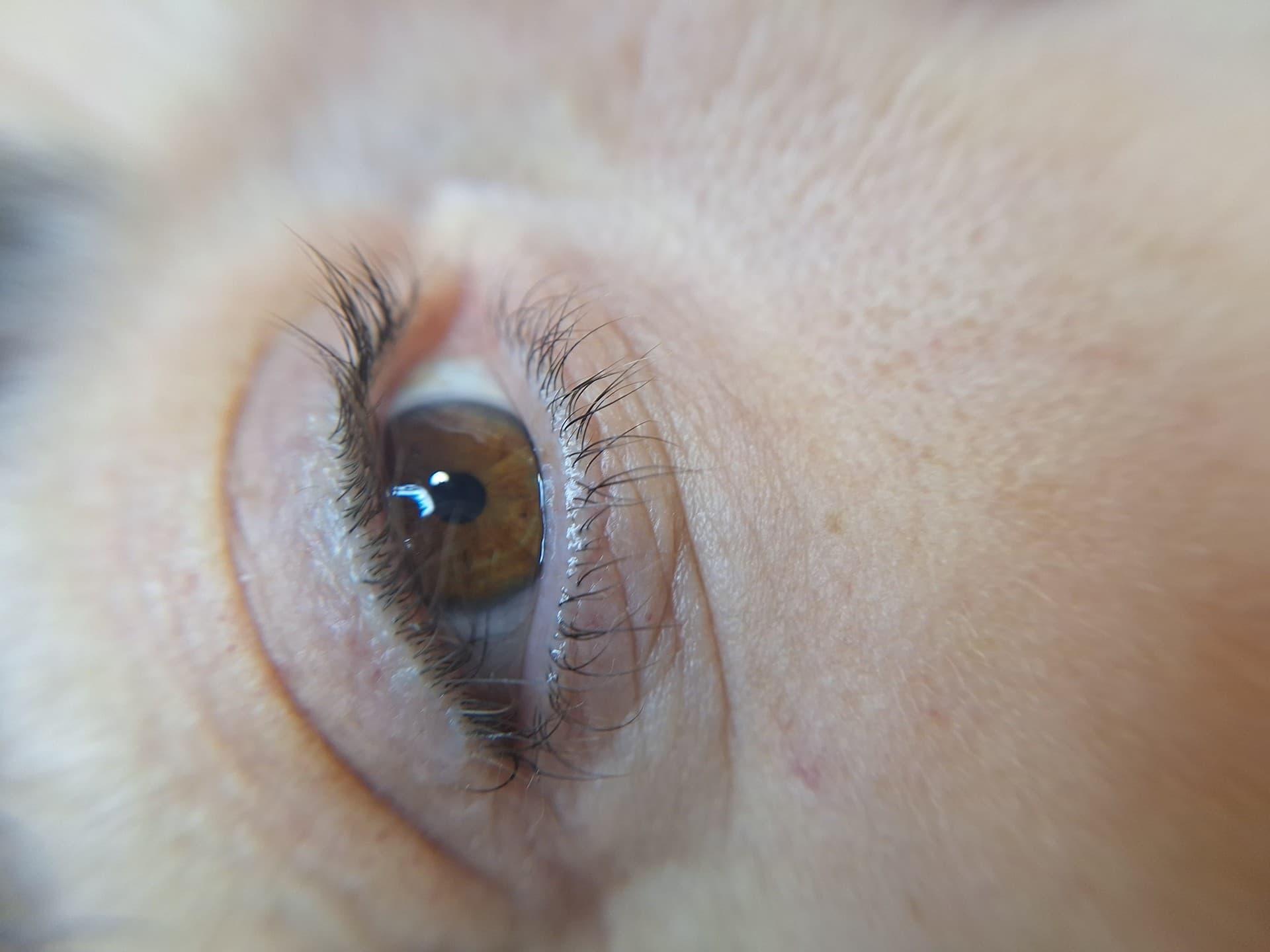Tratamiento lash lifting
