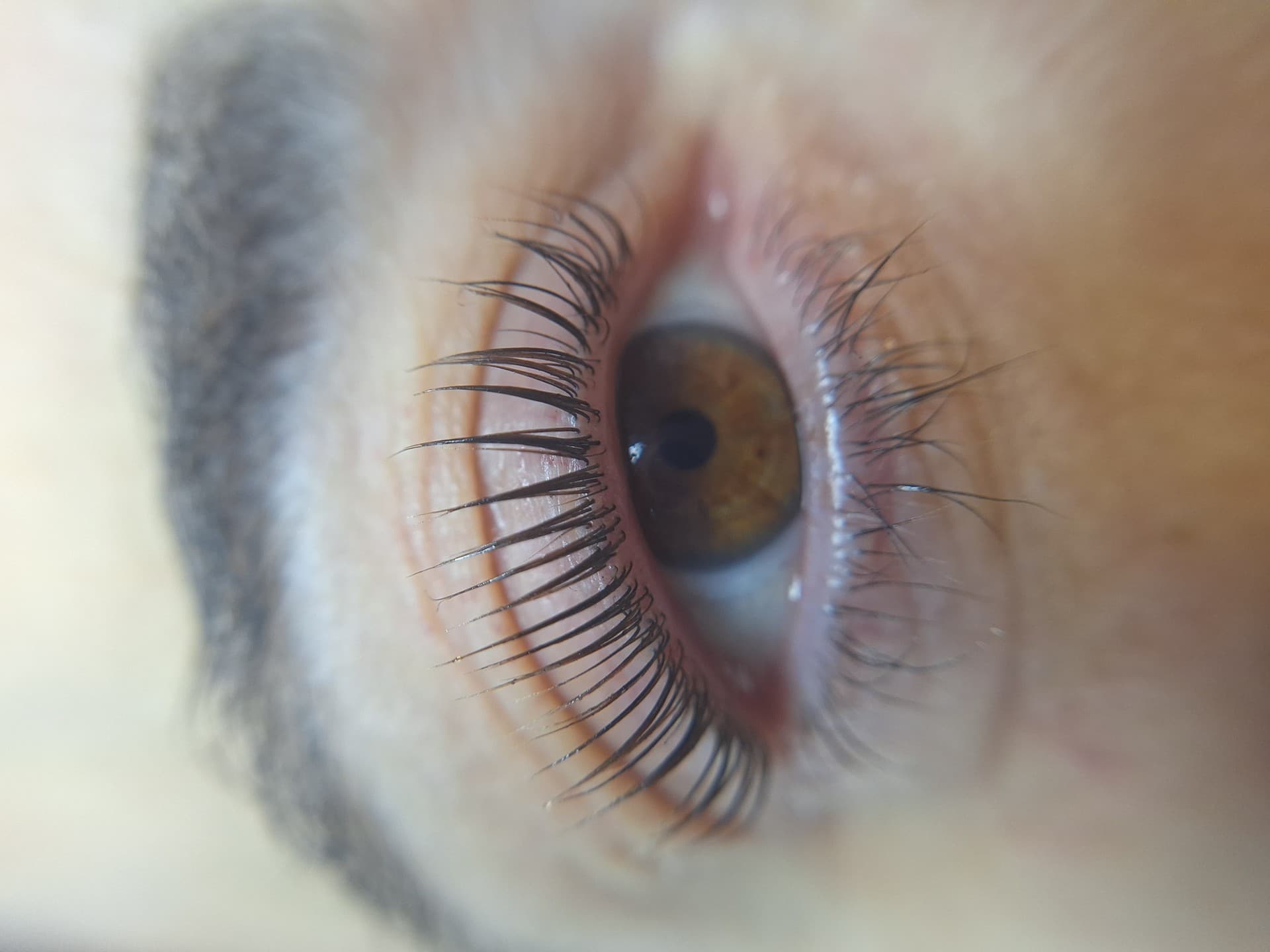 Tratamiento lash lifting
